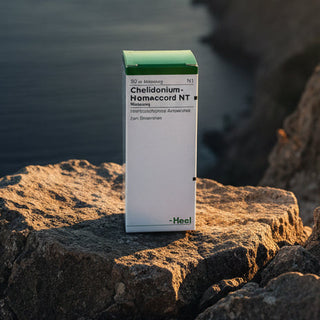 Chelidonium Homaccord