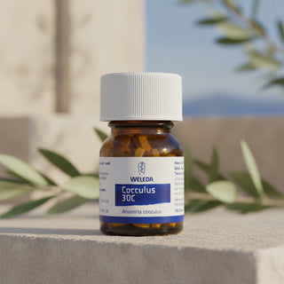 Natural Remedies for Travel Sickness in Dogs