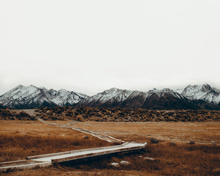 Pre and Post Aesthetic / Reconstructive Surgery - Homeopathic Remedies