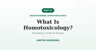 What Is Homotoxicology? — Understanding Homotoxicology series