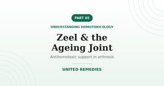 Zeel and the Ageing Joint — Understanding Homotoxicology series