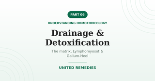 Drainage and Detoxification — Understanding Homotoxicology series