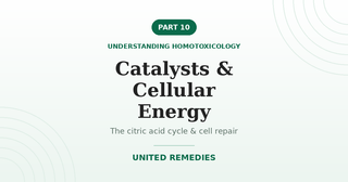 Catalysts and Cellular Energy — Understanding Homotoxicology series