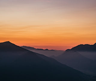 Excretion and Detoxification Therapy