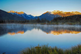 Immune Support for Children - Homeopathic Remedies