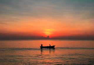 Arthritis / Degenerative or Osteoarthritis - Homeopathric Remedies