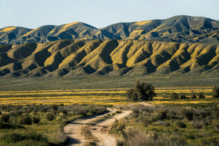 Carpal Tunnel Syndrome - Homeopathic Remedies