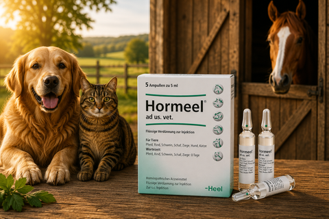 Hormeel - Ampoules 5ml