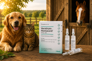 Veratrum Homaccord - 5ml Ampoules