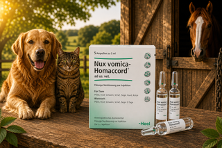 Nux-Vomica Homaccord - Ampoules 5ml