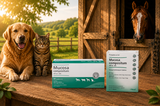 Mucosa Compositum - Ampoules 5ml
