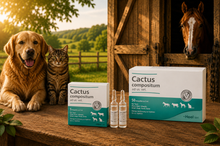 Cactus Compositum - 5ml Ampoules