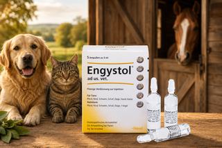 Engystol N - Ampoules 5ml