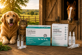 Carduus Compositum - 5ml Ampoules