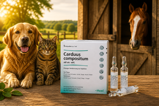 Carduus Compositum - 5ml Ampoules