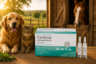 Carduus Compositum - 5ml Ampoules