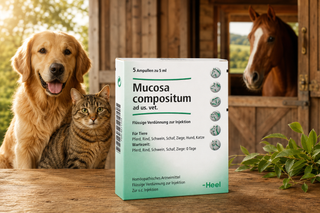 Mucosa Compositum - Ampoules 5ml
