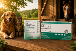 Mucosa Compositum - Ampoules 5ml