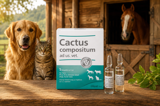 Cactus Compositum - 5ml Ampoules