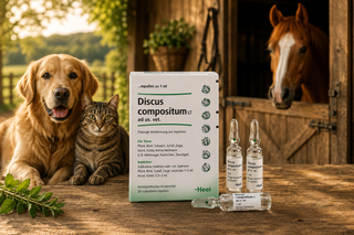 Discus Compositum (Kalmia Compositum) - 5ml Ampoules
