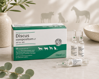 Discus Compositum (Kalmia Compositum) - Ampoules