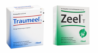 Traumeel & Zeel Recovery Bundle