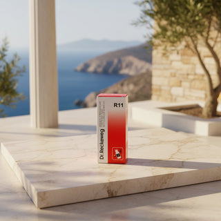 A red and white box of Dr. Reckeweg R11, featuring a vertical white stripe on the left with black text and a small icon of a syringe at the bottom.