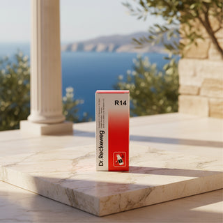 A boxed product labeled Dr. Reckeweg R14 stands upright on a marble ledge outdoors, with a blurred coastal scene and stone columns in the background.
