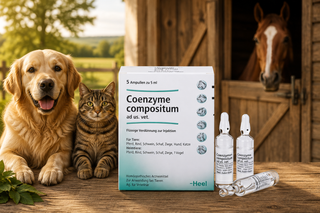 Coenzyme Compositum - Ampoules 5ml