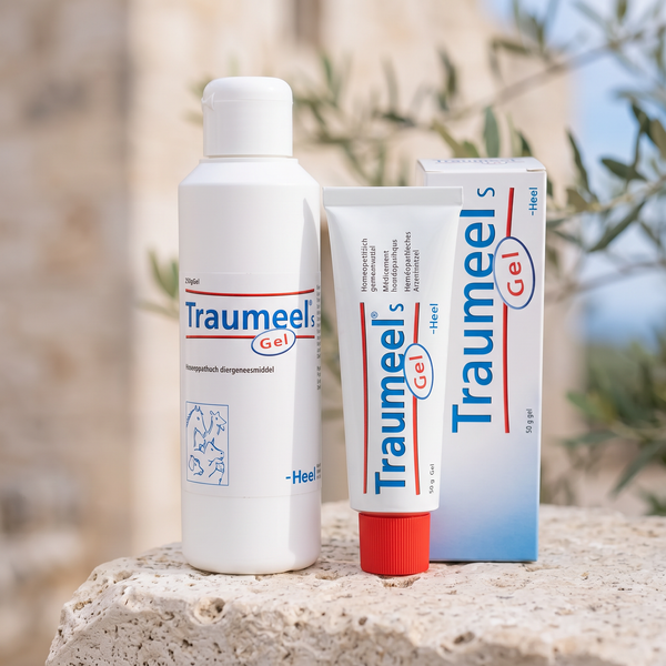 Traumeel Gel