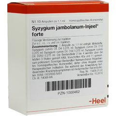 Syzygium Jambolanum Injeel Forte - Ampoules