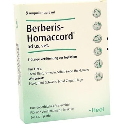 Berberis-Homaccord - Ampoules 5ml