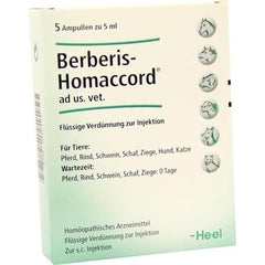 Berberis-Homaccord - Ampoules 5ml