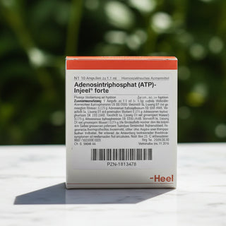 Box of Adenosintriphosphate (ATP) Injeel FORTE ampoules with red and white branding, including product information.