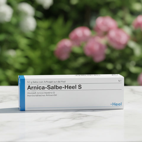 Arnica Salbe Heel S - Ointment