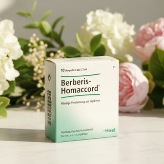 Box of Berberis-Homaccord ampoules with product information in German.