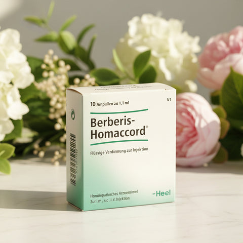 Berberis-Homaccord - Ampoules