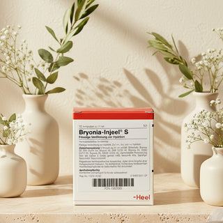 Box of Bryonia-Injeel S Ampoules by Heel, containing 10 ampoules for injection, with product information and branding visible.