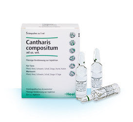 Cantharis Compositum - Ampoules 5ml
