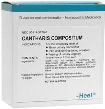 Cantharis Compositum - Ampoules