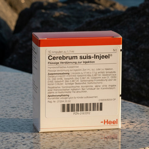Cerebrum Suis Injeel Ampoules