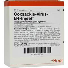 Coxsackie Virus B4 Injeel Ampoules