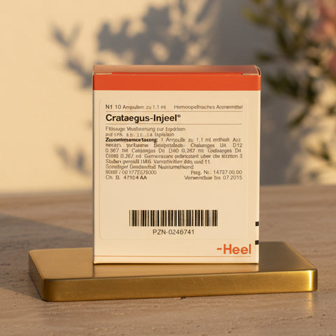 Crataegus Injeel - Ampoules