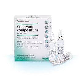 Coenzyme Compositum - Ampoules 5ml