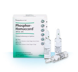 Phosphor Homaccord 5ml Ampoules