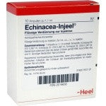 Echinacea Injeel - Ampoules