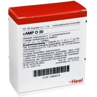 cAMP D30 Ampoules