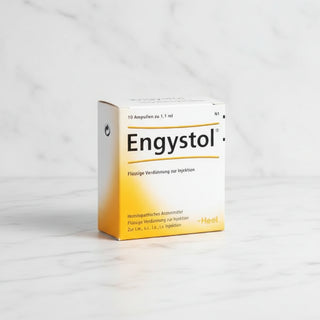 Box of Engystol N Ampoules with 10 ampoules per box, indication for infection defense, dosage information, and brand logo visible.