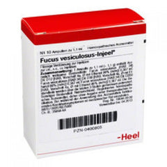 Fucus Vesiculosis Injeel - Ampoules