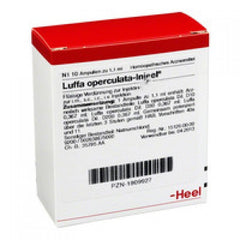 Luffa Operculata Injeel - Ampoules